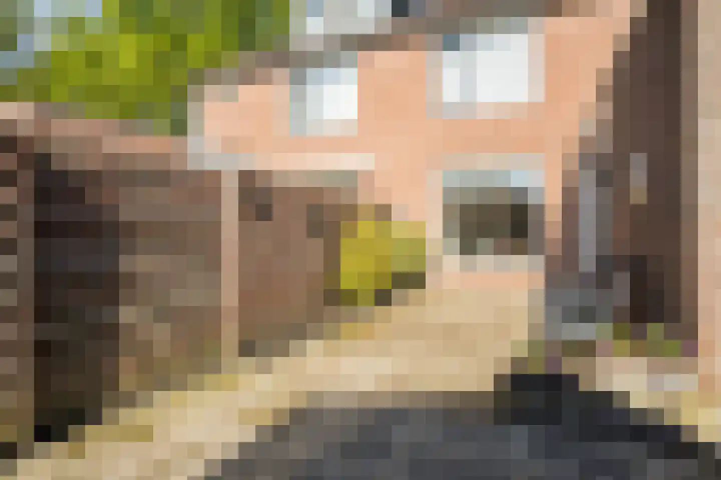 Jan Dimmendaalstraat 16 Ruurlo thumbnail 41