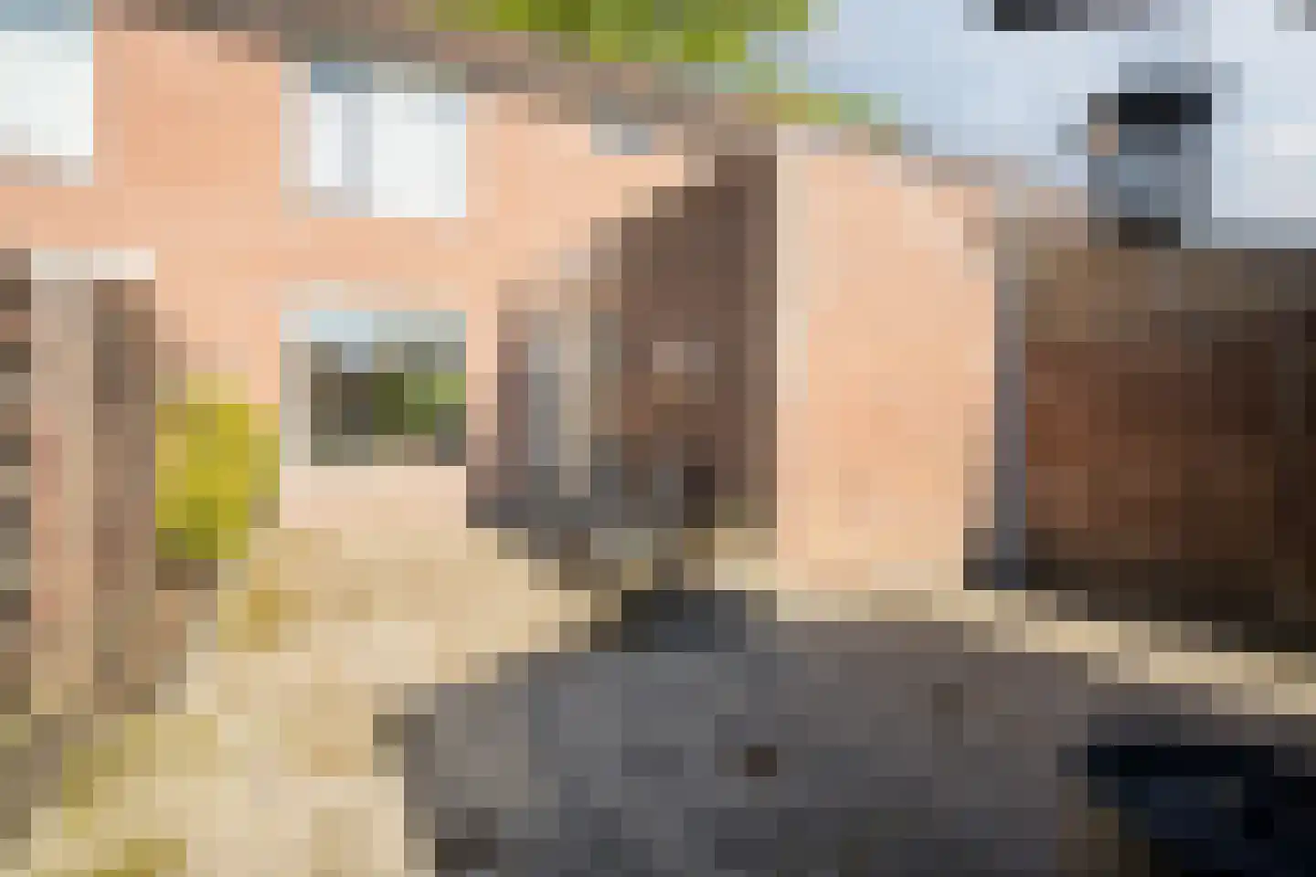 Jan Dimmendaalstraat 16 Ruurlo thumbnail 42