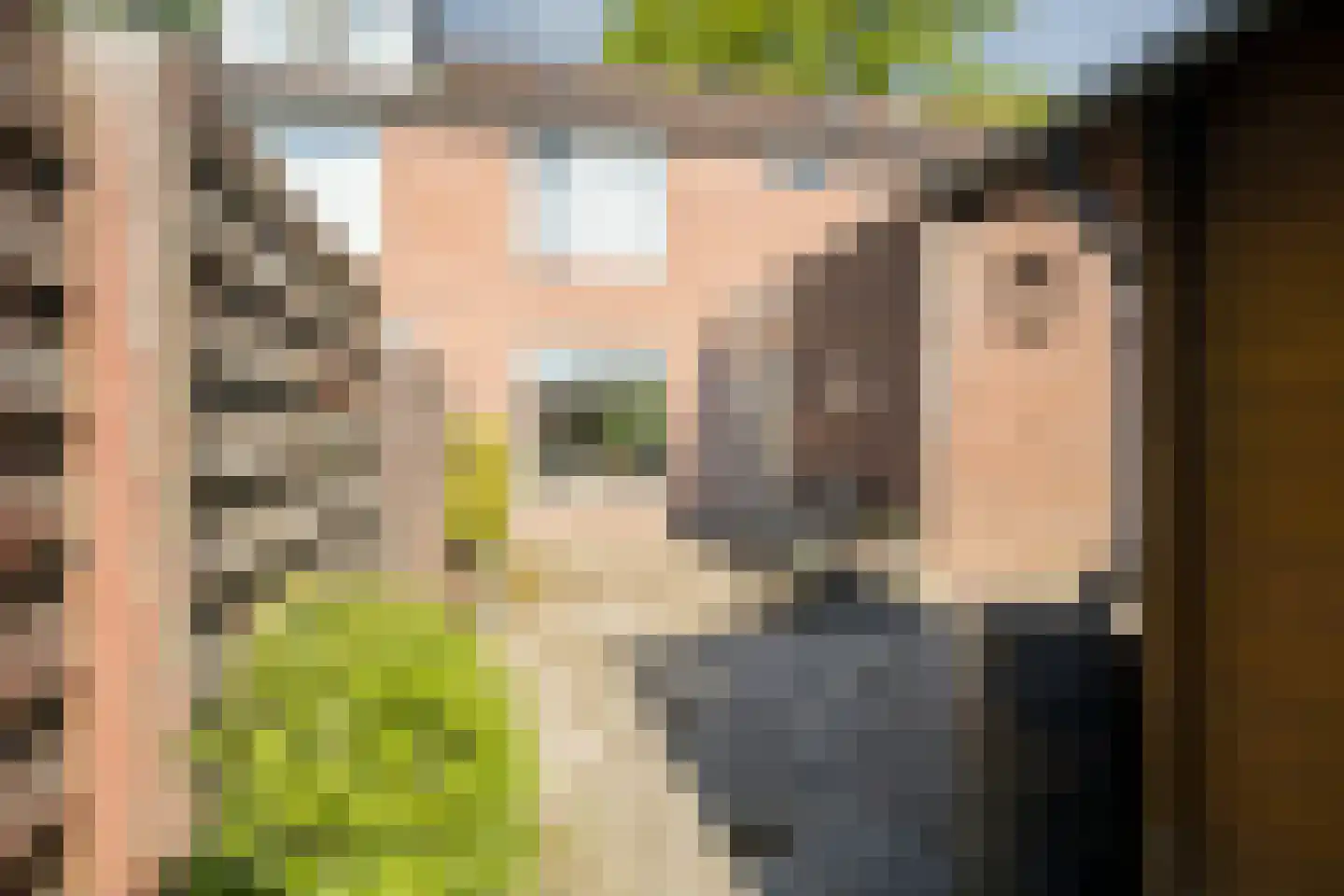 Jan Dimmendaalstraat 16 Ruurlo thumbnail 43