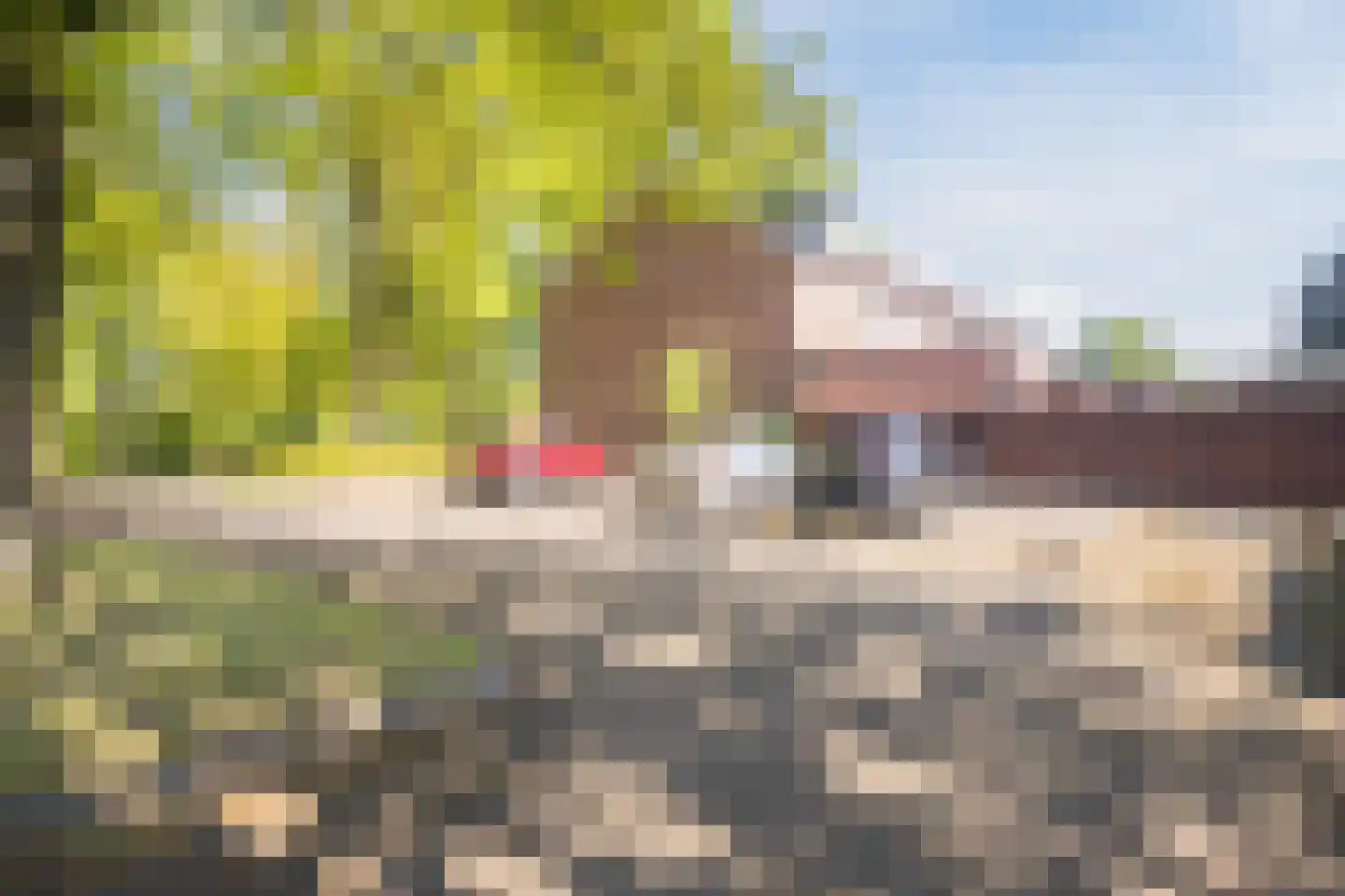 Jan Dimmendaalstraat 16 Ruurlo thumbnail 47