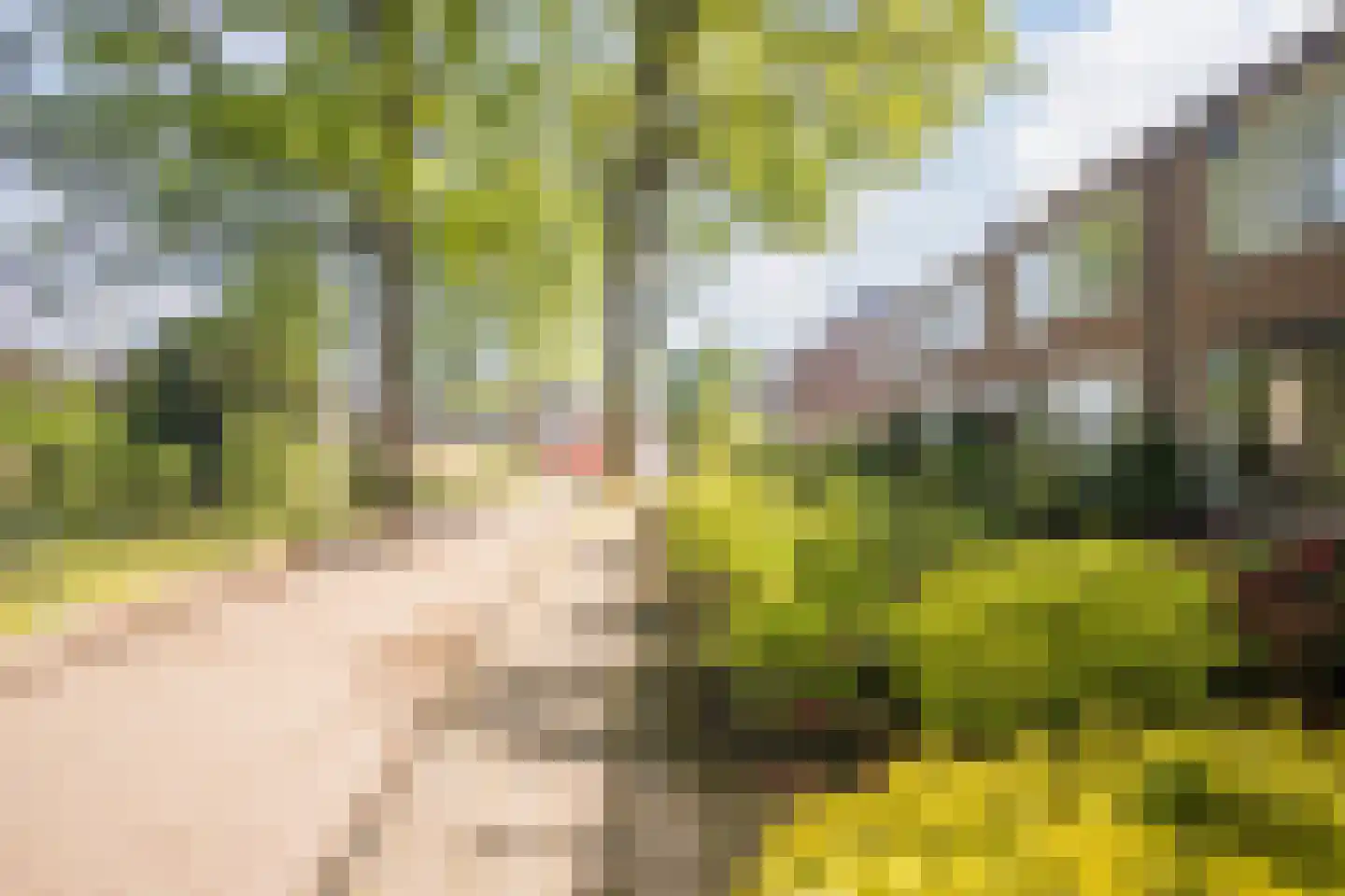 Jan Dimmendaalstraat 16 Ruurlo thumbnail 7