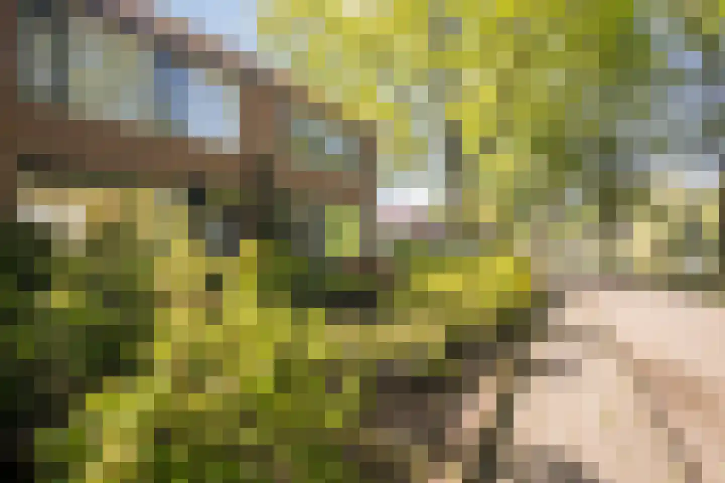Jan Dimmendaalstraat 16 Ruurlo thumbnail 8