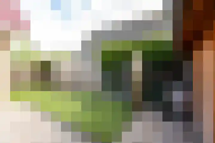 Jan Dirk van Exterlaan 24 Almere thumbnail 28
