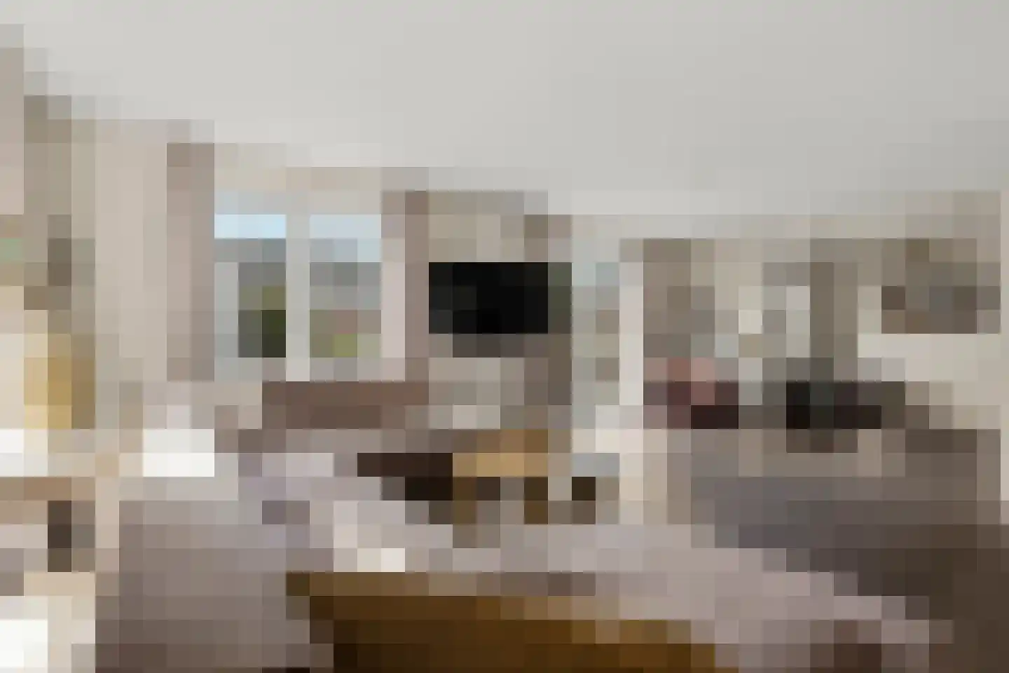 Jan Dirk van Exterlaan 36 Almere thumbnail 5