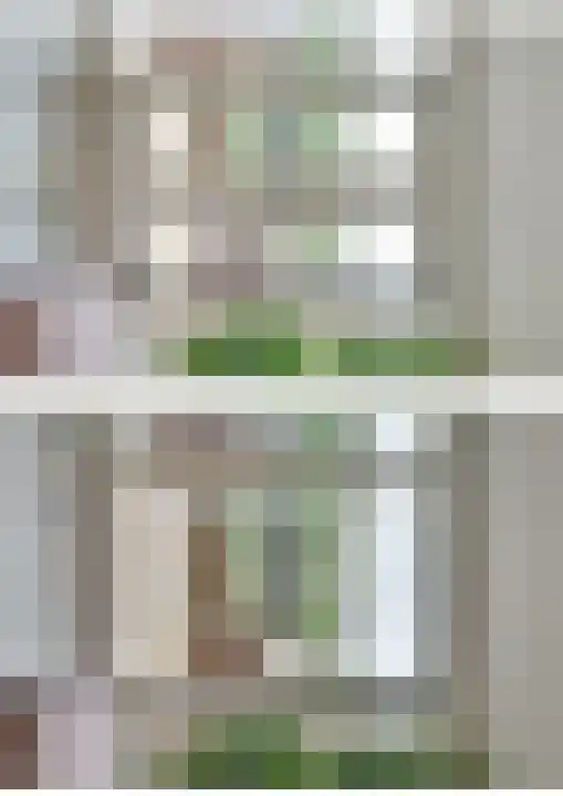 Jan Dirk z'n Dal 34 Egmond aan Zee thumbnail 18