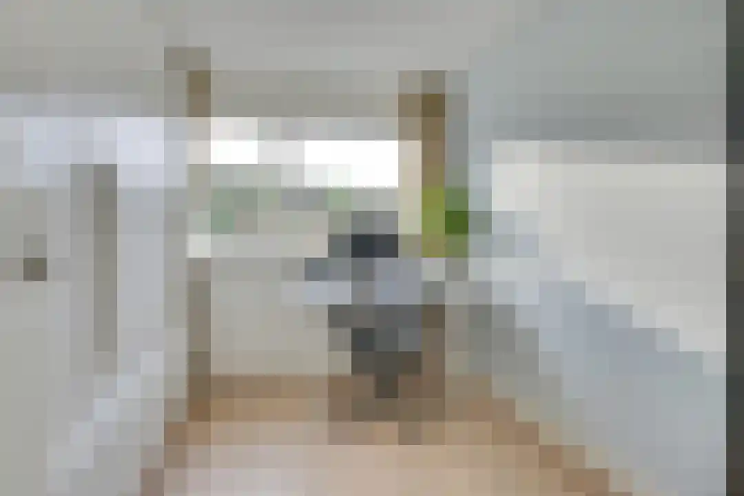 Jan Dirk z'n Dal 34 Egmond aan Zee thumbnail 30