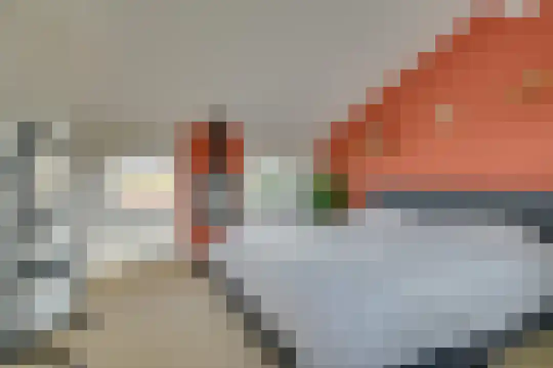 Jan Dirk z'n Dal 34 Egmond aan Zee thumbnail 36
