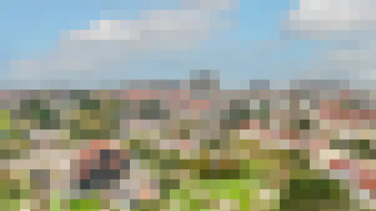 Jan Dirk z'n Dal 34 Egmond aan Zee thumbnail 5
