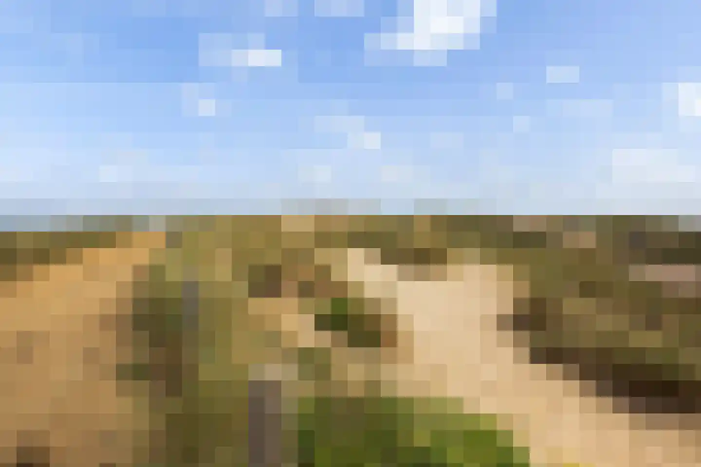 Jan Dirk z'n Dal 49 Egmond aan Zee thumbnail 46