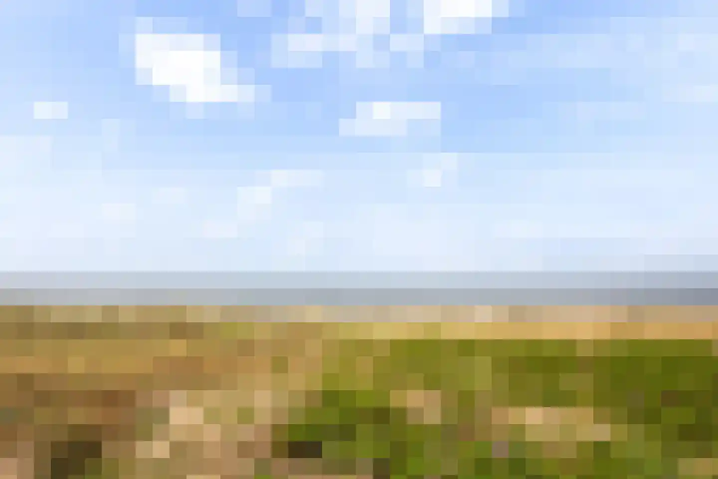 Jan Dirk z'n Dal 49 Egmond aan Zee thumbnail 47