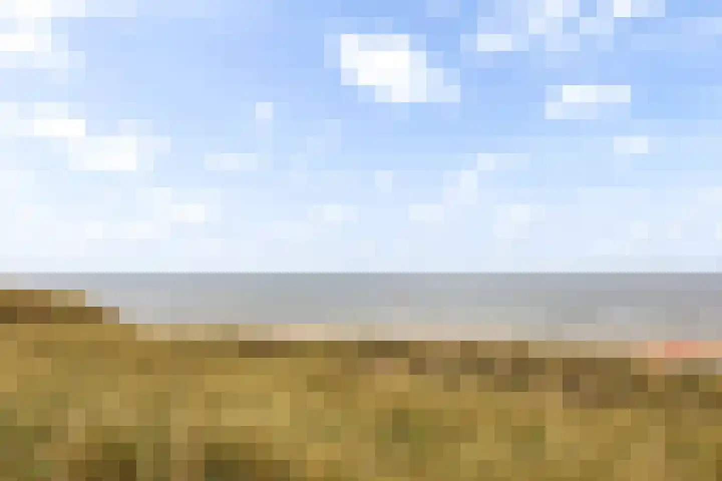 Jan Dirk z'n Dal 49 Egmond aan Zee thumbnail 48