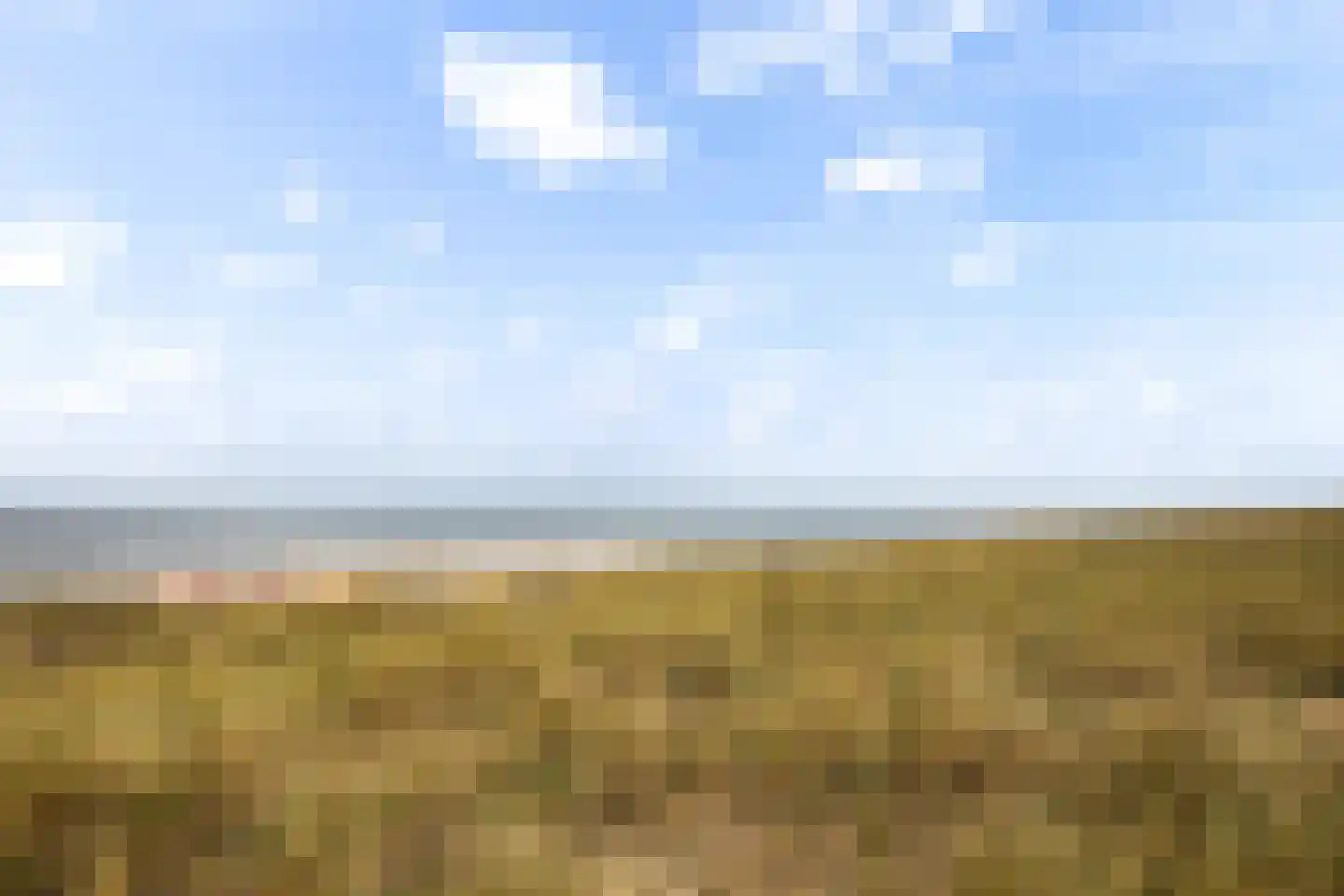 Jan Dirk z'n Dal 49 Egmond aan Zee thumbnail 49