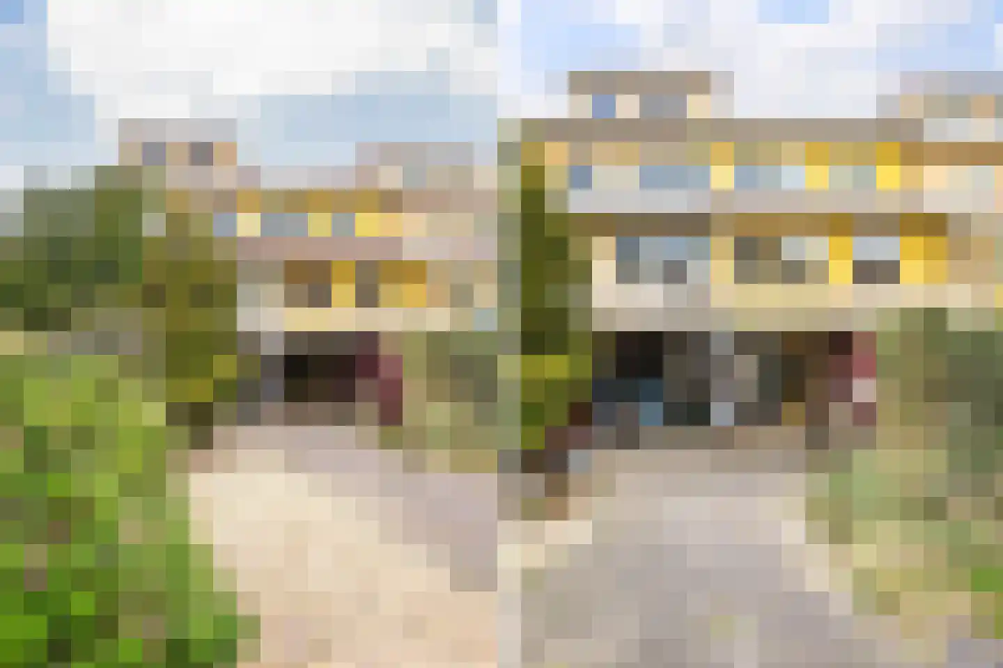 Jan Dirk z'n Dal 49 Egmond aan Zee thumbnail 8
