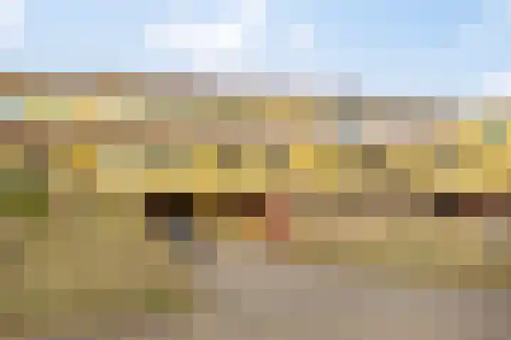 Jan Dirk z'n Dal 65 en Egmond aan Zee