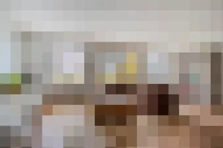 Jan Dirk z'n Dal 65 Egmond aan Zee thumbnail 10