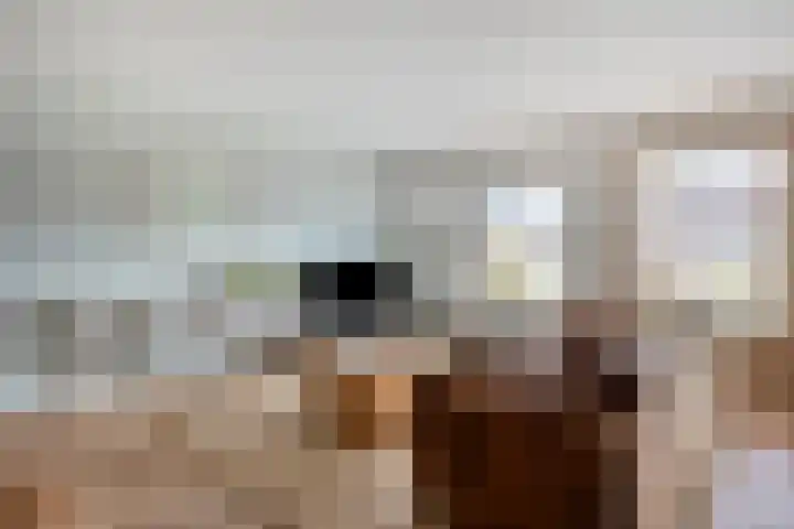Jan Dirk z'n Dal 65 Egmond aan Zee thumbnail 11
