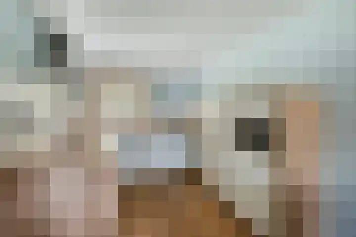 Jan Dirk z'n Dal 65 Egmond aan Zee thumbnail 18