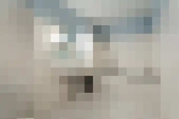 Jan Dirk z'n Dal 65 Egmond aan Zee thumbnail 24