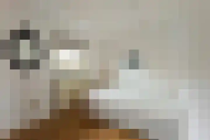 Jan Dirk z'n Dal 65 Egmond aan Zee thumbnail 26
