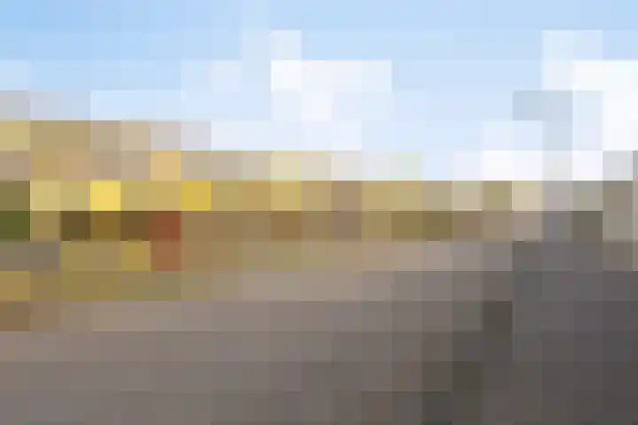 Jan Dirk z'n Dal 65 Egmond aan Zee foto 3