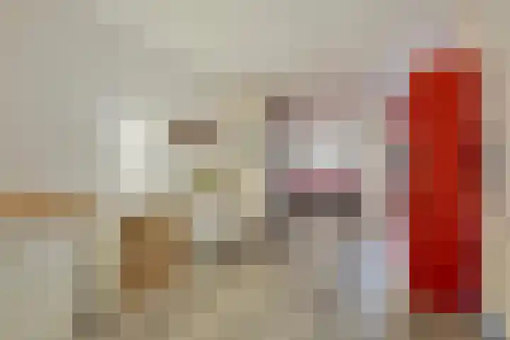Jan Dirk z'n Dal 65 Egmond aan Zee thumbnail 31