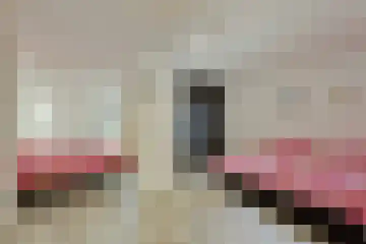 Jan Dirk z'n Dal 65 Egmond aan Zee thumbnail 32