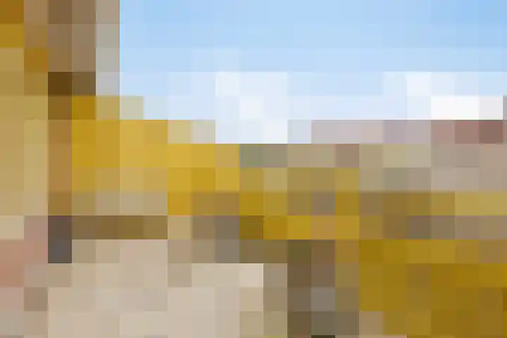 Jan Dirk z'n Dal 65 Egmond aan Zee thumbnail 36