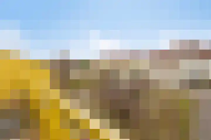 Jan Dirk z'n Dal 65 Egmond aan Zee thumbnail 37