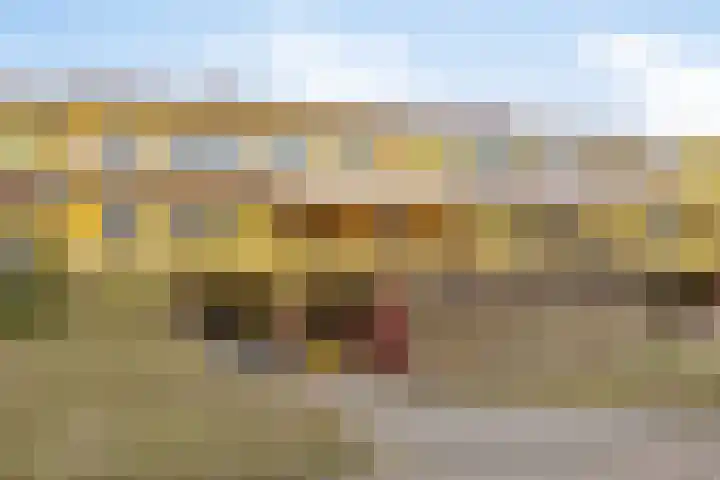 Jan Dirk z'n Dal 65 Egmond aan Zee thumbnail 4