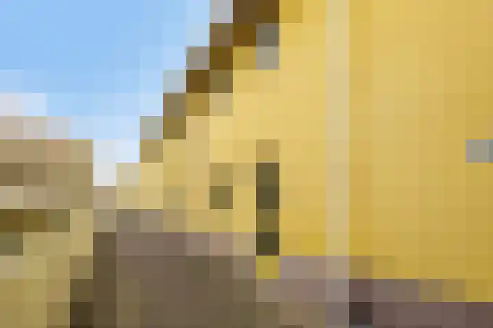 Jan Dirk z'n Dal 65 Egmond aan Zee thumbnail 5