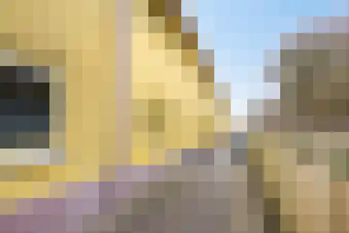 Jan Dirk z'n Dal 65 Egmond aan Zee thumbnail 6