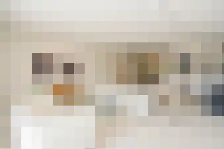 Jan Dirk z'n Dal 75 Egmond aan Zee thumbnail 15