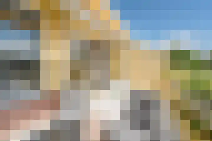Jan Dirk z'n Dal 75 Egmond aan Zee thumbnail 25