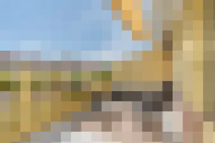 Jan Dirk z'n Dal 75 Egmond aan Zee thumbnail 27