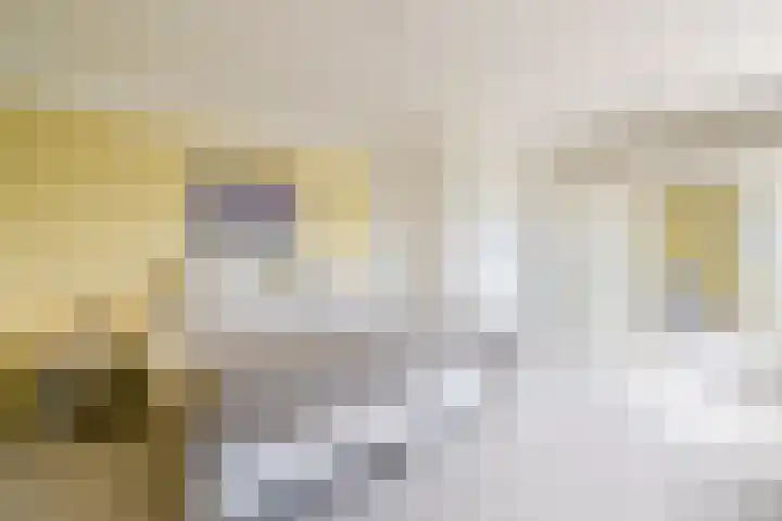 Jan Dirk z'n Dal 75 Egmond aan Zee thumbnail 31