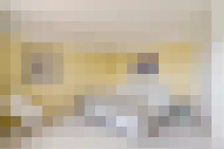 Jan Dirk z'n Dal 75 Egmond aan Zee thumbnail 32