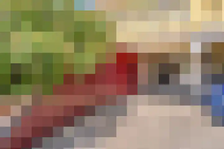 Jan Dirk z'n Dal 75 Egmond aan Zee thumbnail 44