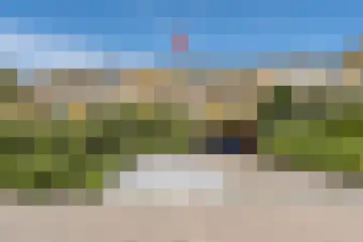 Jan Dirk z'n Dal 75 Egmond aan Zee thumbnail 5