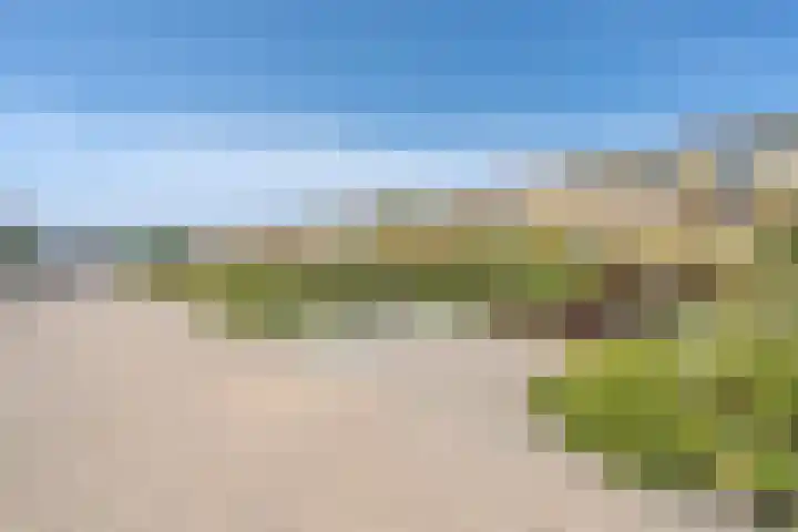 Jan Dirk z'n Dal 75 Egmond aan Zee thumbnail 52