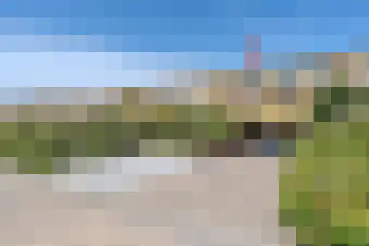 Jan Dirk z'n Dal 75 Egmond aan Zee thumbnail 56