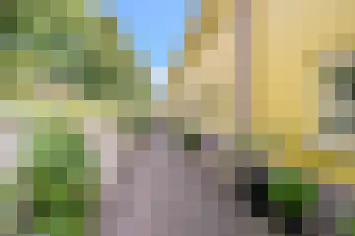 Jan Dirk z'n Dal 75 Egmond aan Zee thumbnail 8