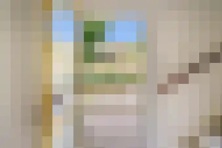 Jan Dirk z'n Dal 75 Egmond aan Zee thumbnail 9