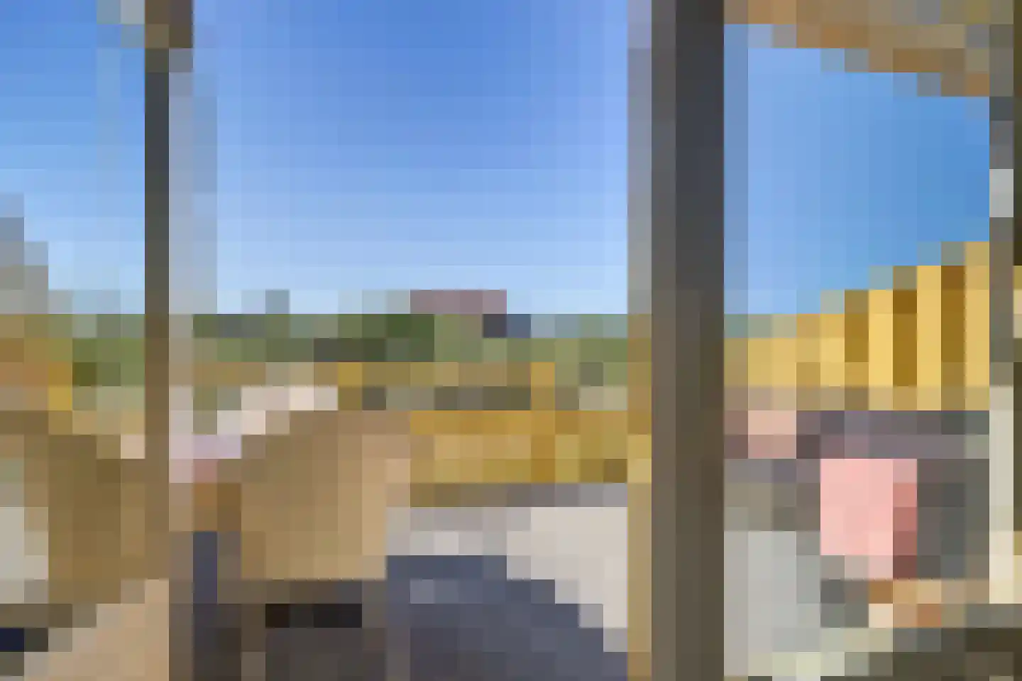 Jan Dirk z'n Dal 95 Egmond aan Zee thumbnail 14