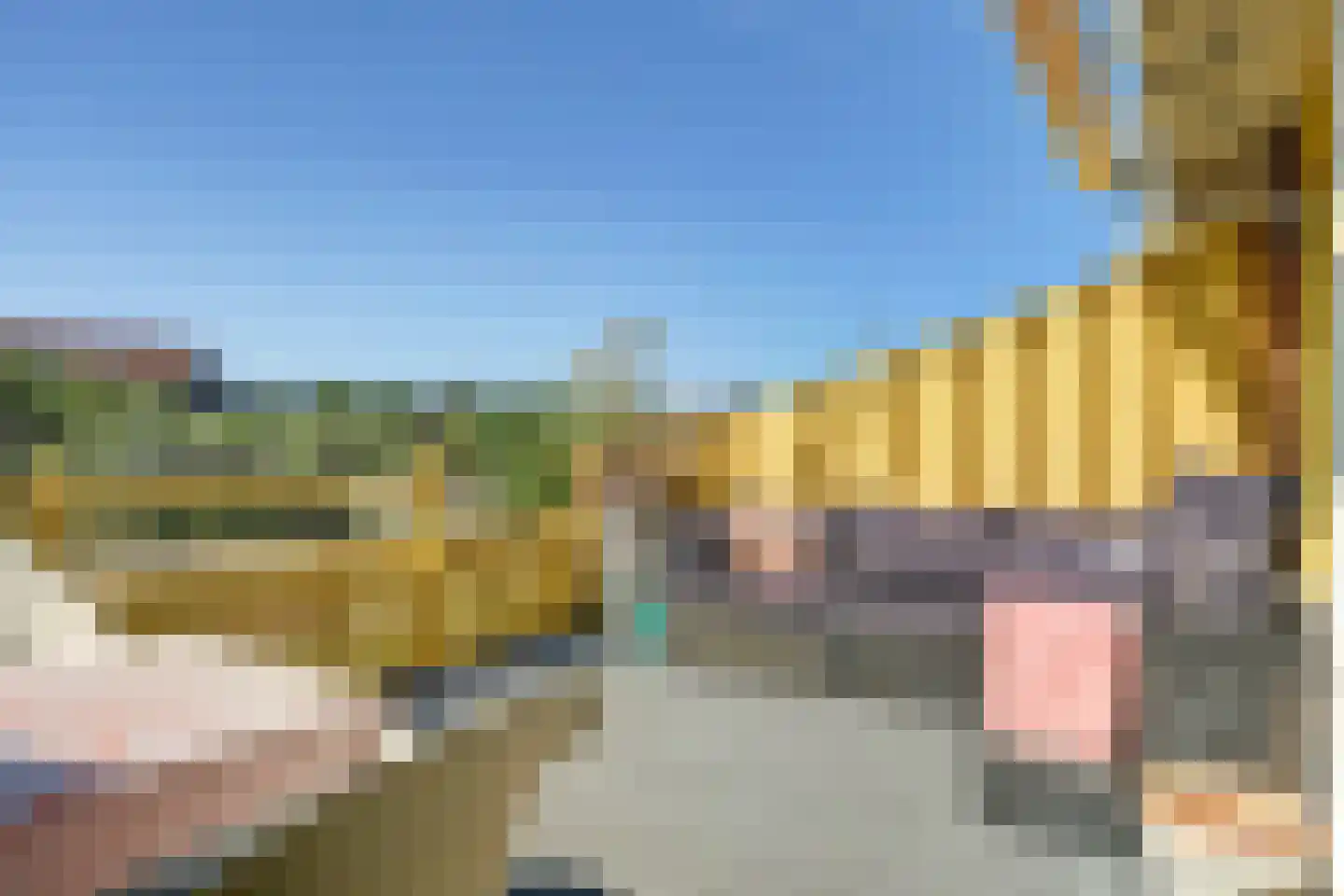 Jan Dirk z'n Dal 95 Egmond aan Zee thumbnail 14