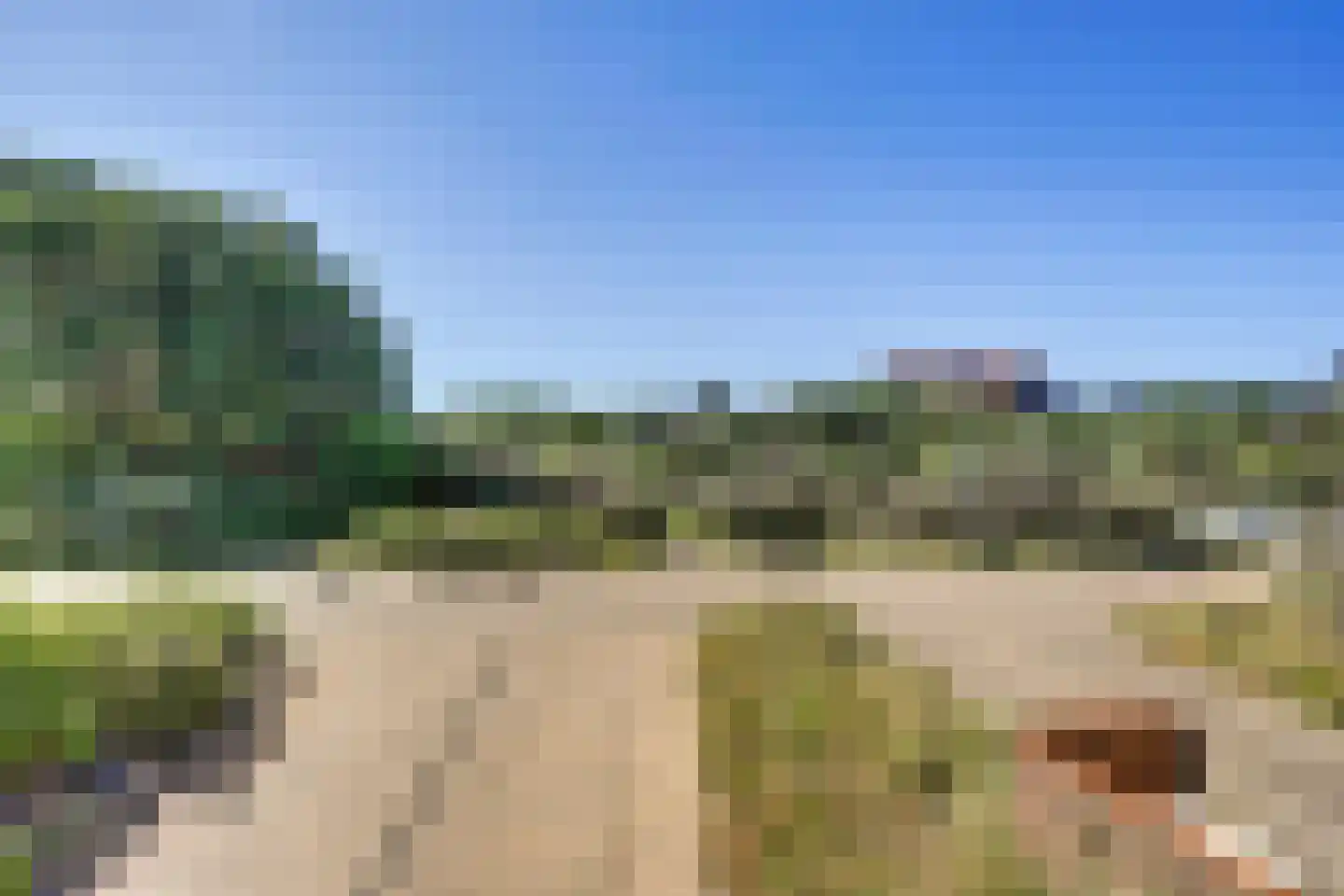 Jan Dirk z'n Dal 95 Egmond aan Zee thumbnail 15