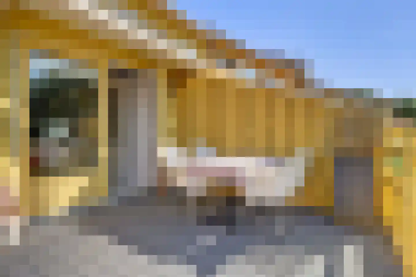 Jan Dirk z'n Dal 95 Egmond aan Zee thumbnail 16