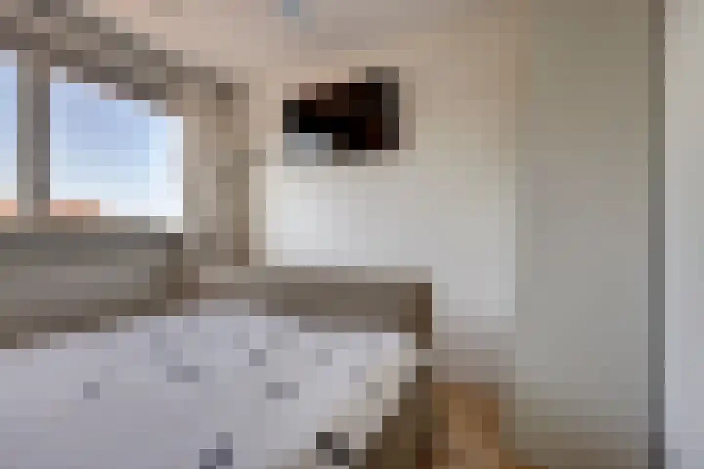 Jan Dirk z'n Dal 95 Egmond aan Zee thumbnail 21