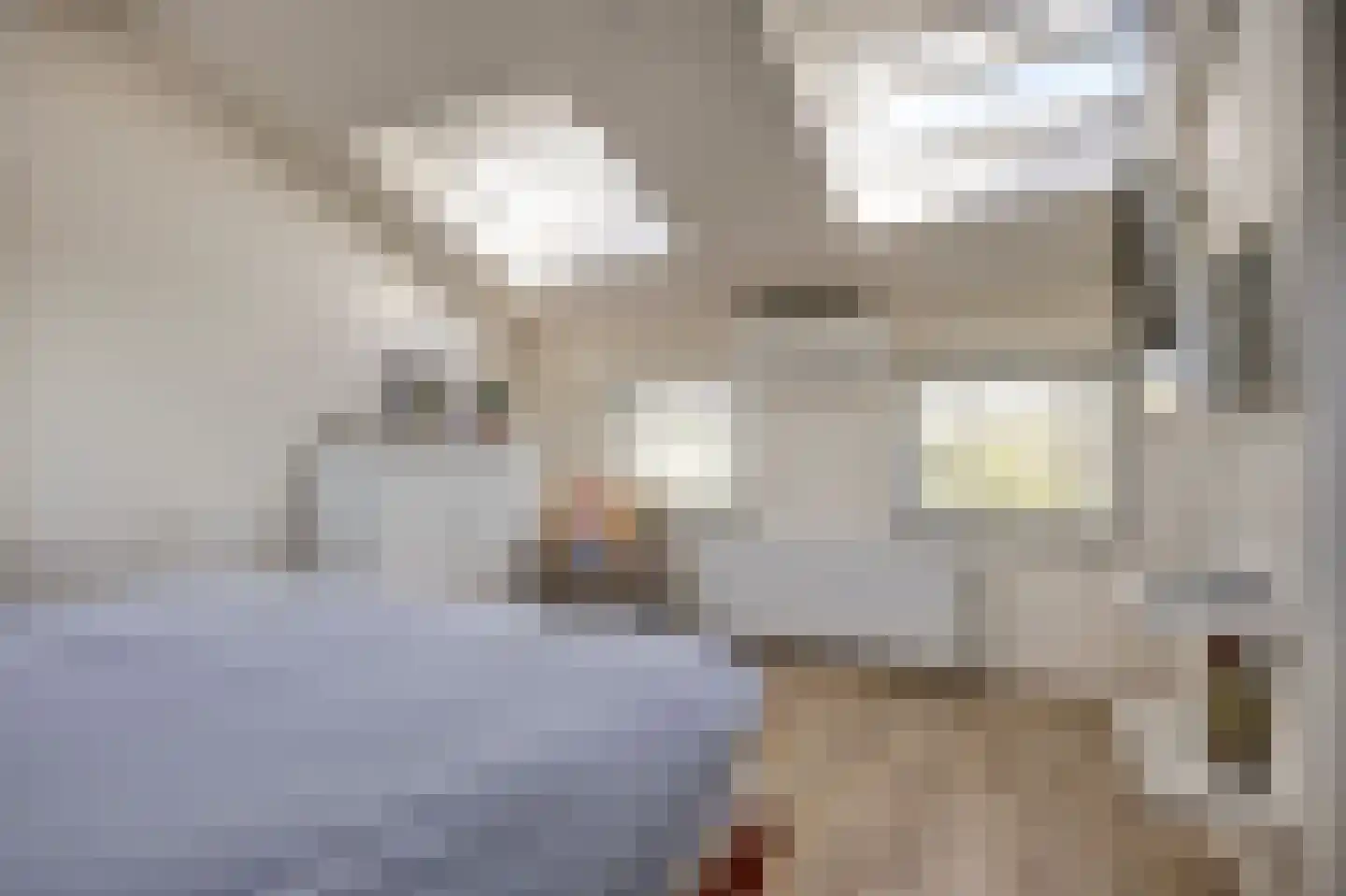 Jan Dirk z'n Dal 95 Egmond aan Zee thumbnail 31