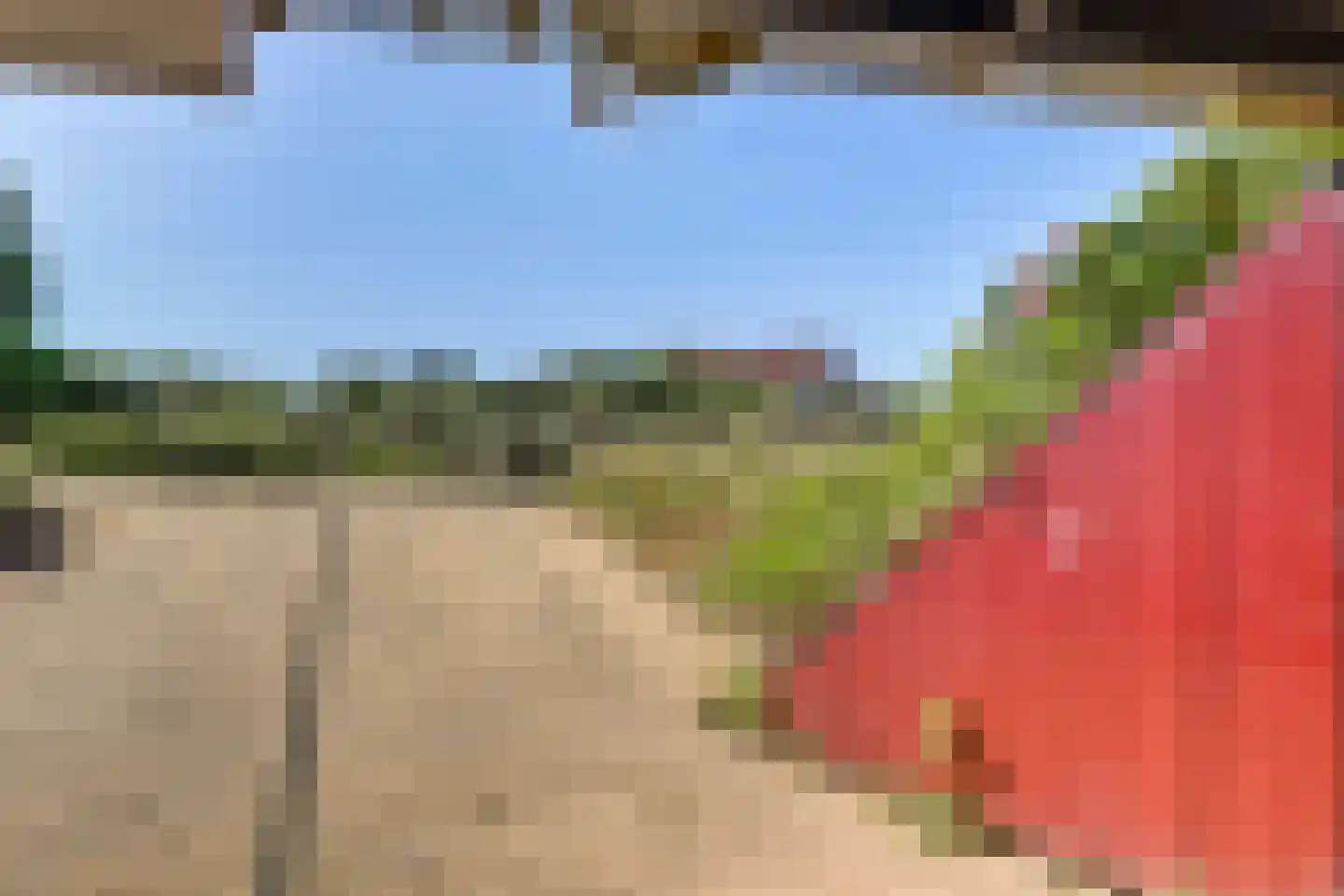 Jan Dirk z'n Dal 95 Egmond aan Zee thumbnail 37