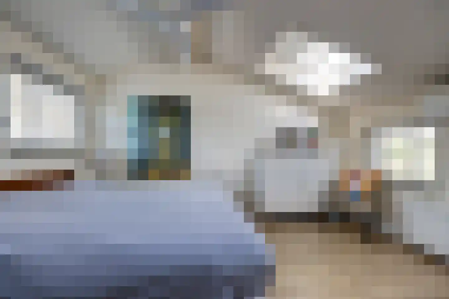 Jan Dirk z'n Dal 95 Egmond aan Zee thumbnail 4